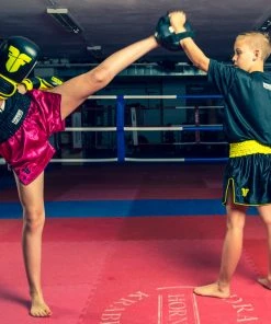 TRAINING Fighter Round Target - S - Orange, FLK-ORG 12 TRAINING Fighter Round Target - S - Orange, FLK-ORG