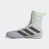 Boxing Shoes Adidas Box Hog 3 - White/grey, FV6584