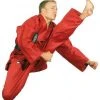 Hayashi Karate Gi KIRIN - Red, 022-4 Karate Uniforms
