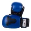 Fighter Basic Gloves - Blue/black, 1376APUBL