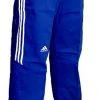 Adidas Training Pant TKD - Blue, JWA2027-3 Pants