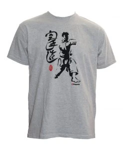 T-Shirts T-Shirt HAYASHI Fighter - Grey, 192-11