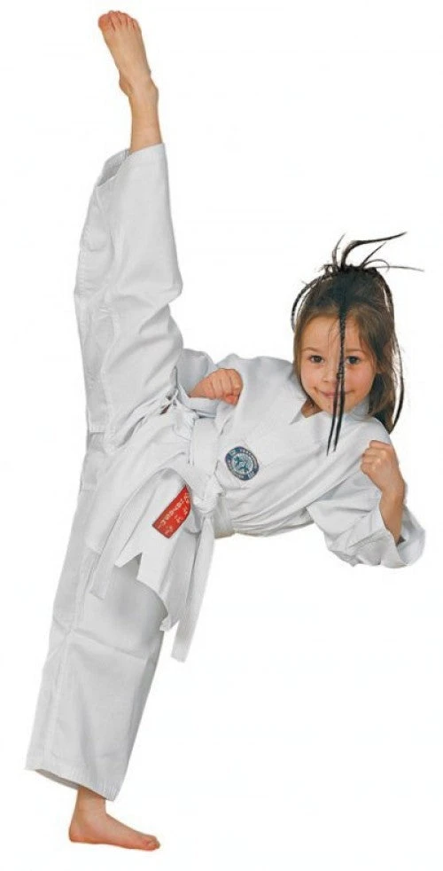 Hayashi Taekwondo WT Uniforms TAEGUK - WT Dobok, 103-1 3 Hayashi Taekwondo WT Uniforms TAEGUK - WT Dobok, 103-1